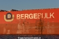 Bergebulk-Logo 81114-01.jpg